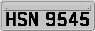 HSN9545