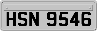 HSN9546