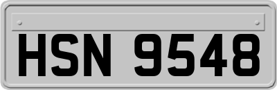 HSN9548