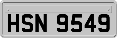 HSN9549
