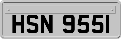HSN9551