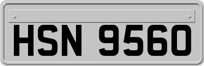 HSN9560