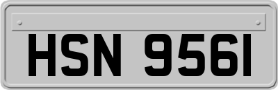 HSN9561