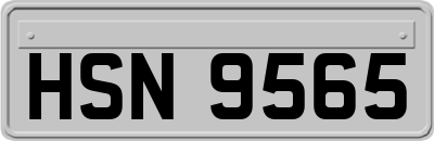 HSN9565