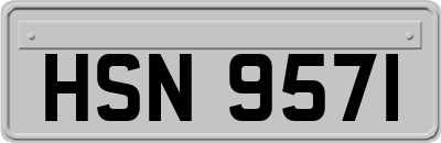 HSN9571