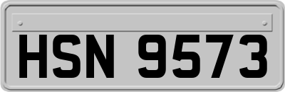 HSN9573