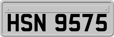 HSN9575