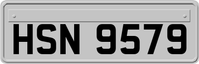 HSN9579