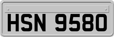 HSN9580