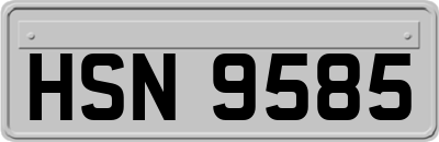 HSN9585