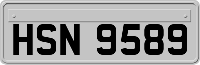 HSN9589