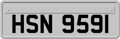 HSN9591