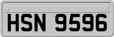 HSN9596