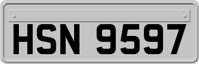 HSN9597