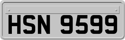 HSN9599