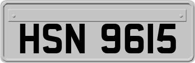 HSN9615