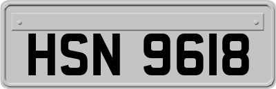 HSN9618
