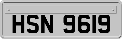HSN9619