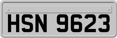 HSN9623