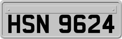 HSN9624