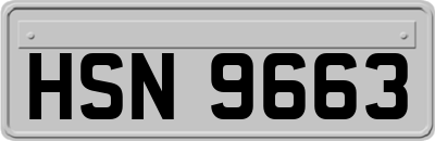 HSN9663