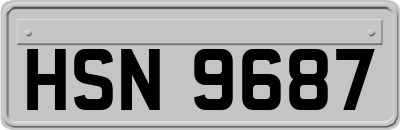 HSN9687