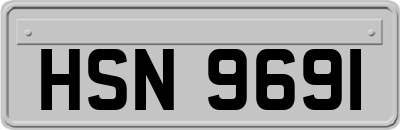 HSN9691
