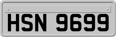 HSN9699