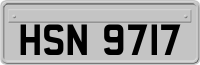 HSN9717
