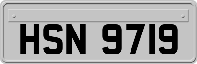 HSN9719