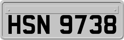 HSN9738