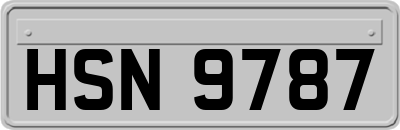HSN9787
