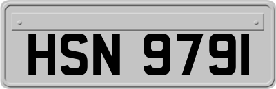 HSN9791