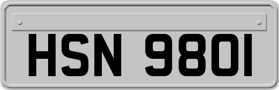 HSN9801
