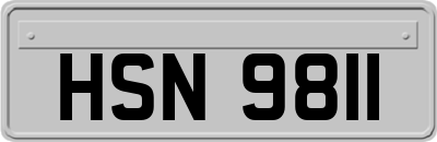 HSN9811