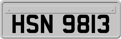 HSN9813
