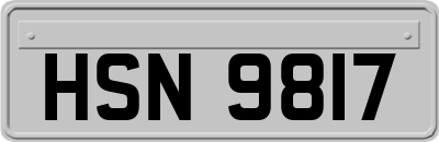 HSN9817