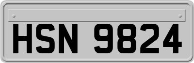 HSN9824