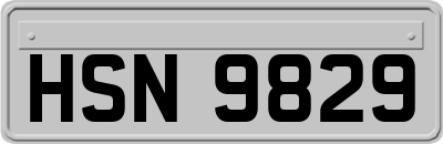 HSN9829