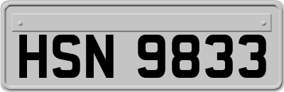 HSN9833