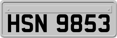 HSN9853