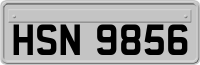 HSN9856
