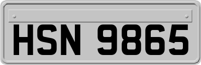 HSN9865