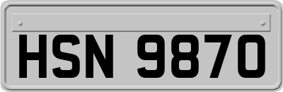 HSN9870