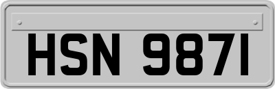 HSN9871