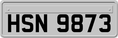 HSN9873