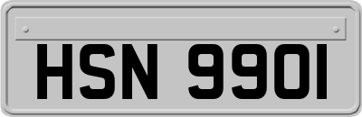 HSN9901