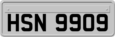 HSN9909