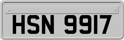 HSN9917