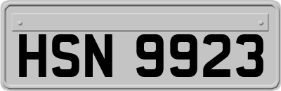 HSN9923